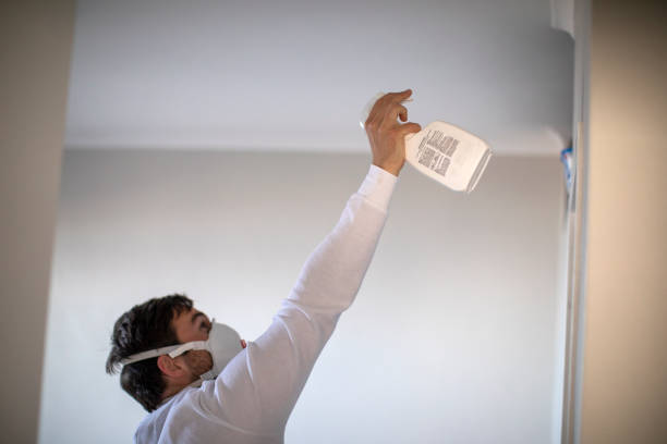 Best Water Damage Restoration  in Payne, OH