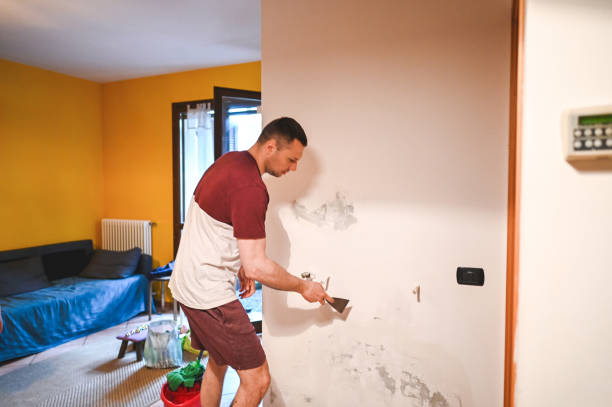Best Crawl Space Mold Removal  in Payne, OH